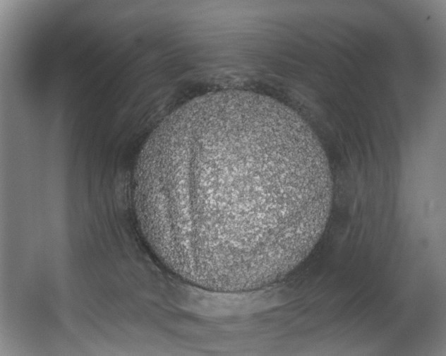 X0000062640034200601041108