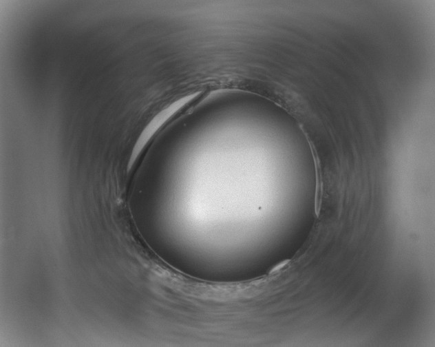 X0000062640037200601041108