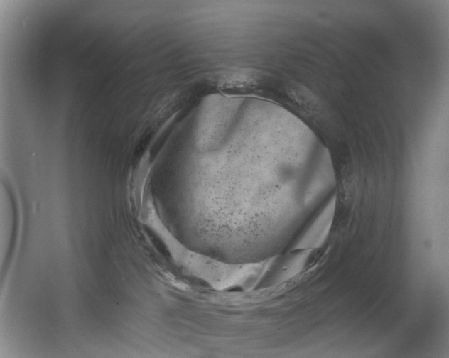 X0000062640041200601041108