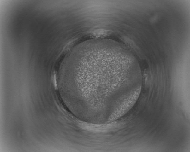 X0000062640042200601041108