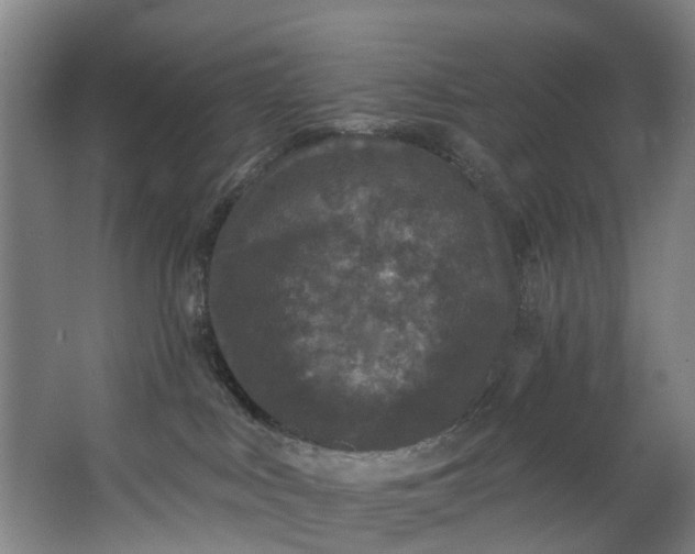 X0000062640043200601041108