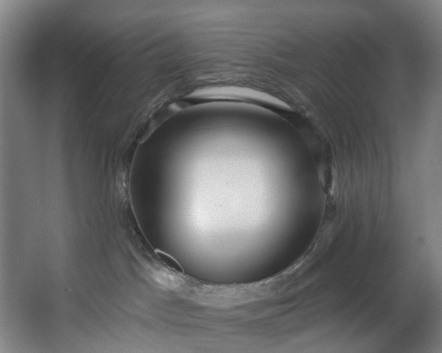 X0000062640045200601041108