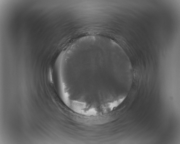 X0000062640046200601041108