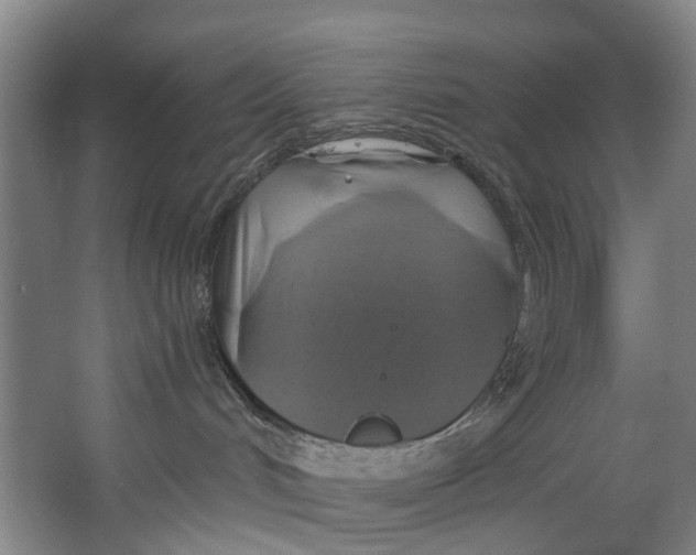 X0000062640048200601041108