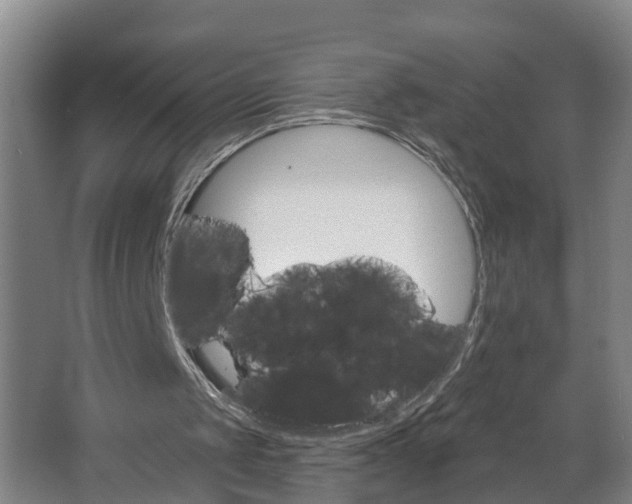 X0000062640049200601041107