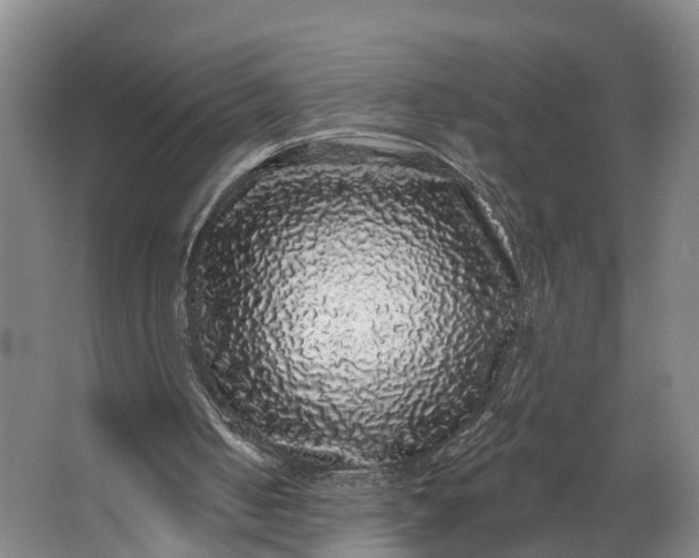 X0000062640050200601041107