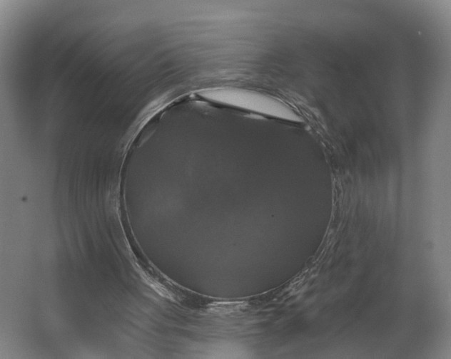 X0000062640051200601041107