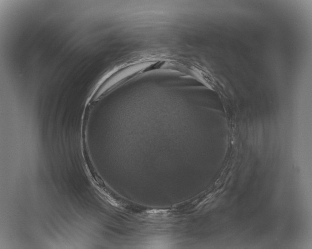 X0000062640052200601041107