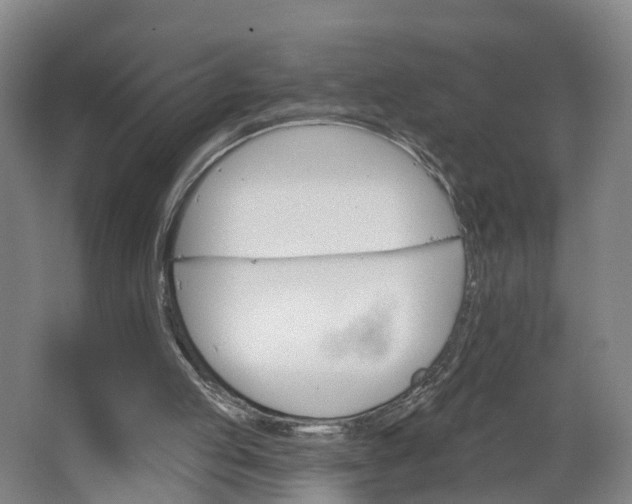 X0000062640053200601041107