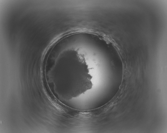 X0000062640055200601041107