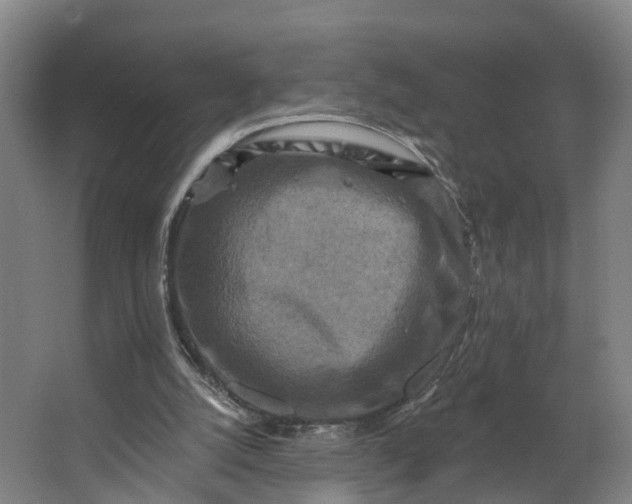 X0000062640056200601041107