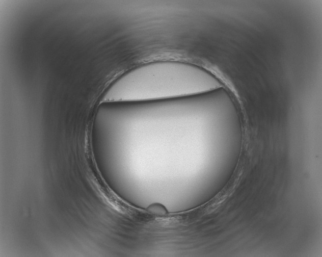 X0000062640057200601041107