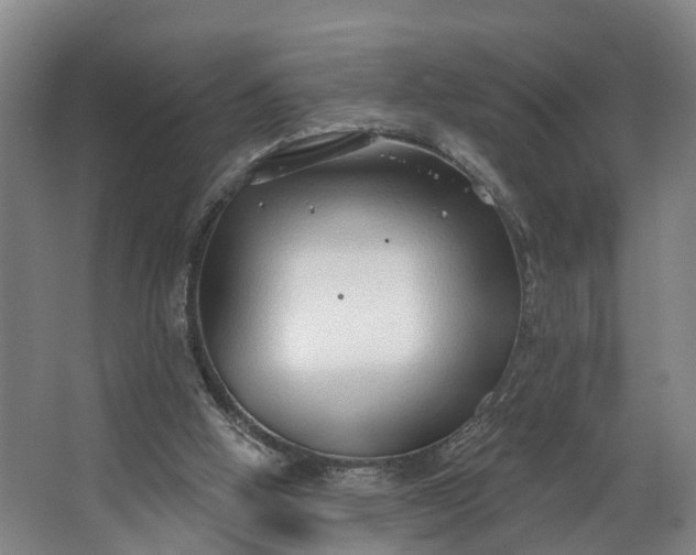 X0000062640058200601041107