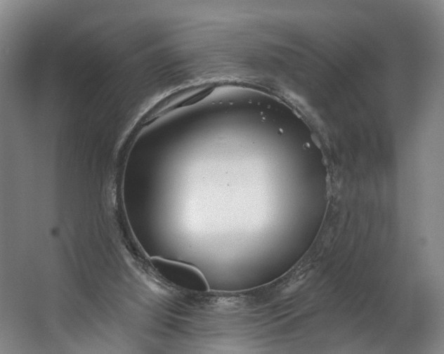 X0000062640060200601041108