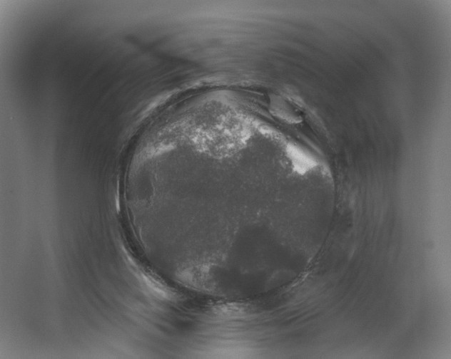 X0000062640062200601041108