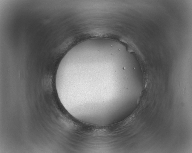 X0000062640066200601041108