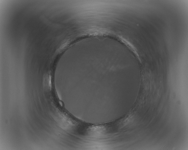 X0000062640067200601041108