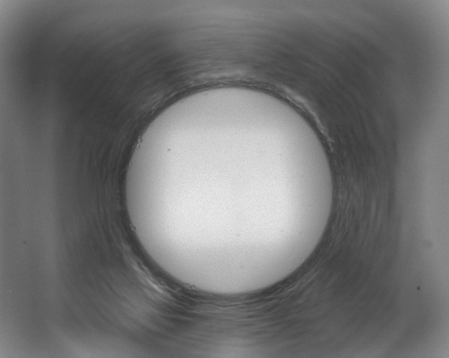 X0000062640069200601041108