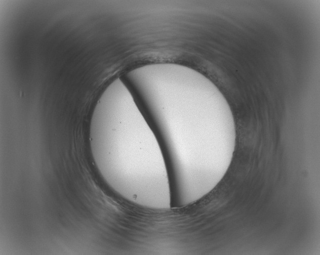 X0000062640071200601041108