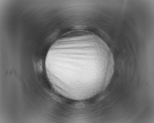 X0000062640075200601041108