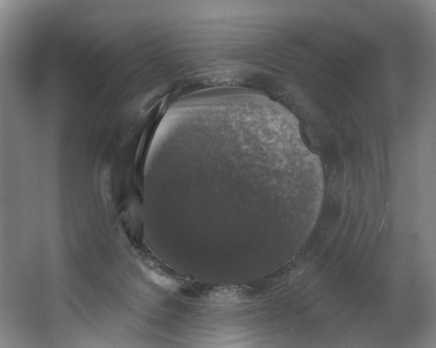 X0000062640076200601041108