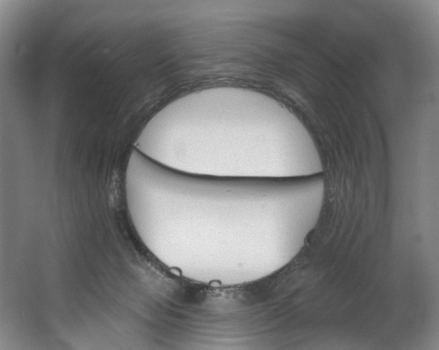 X0000062640077200601041108