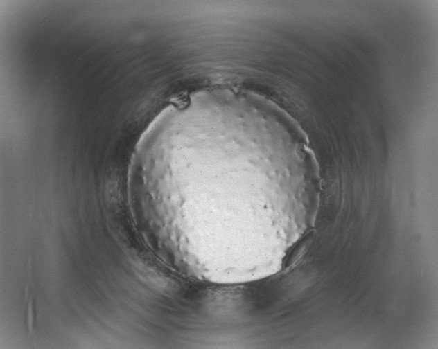 X0000062640078200601041108