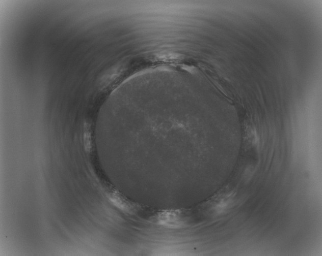 X0000062640080200601041108