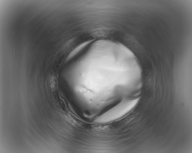 X0000062640081200601041108