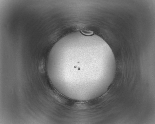 X0000062640082200601041108