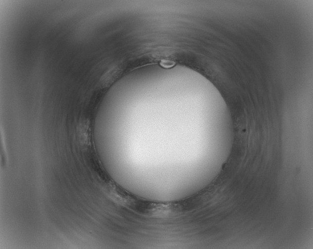 X0000062640083200601041108