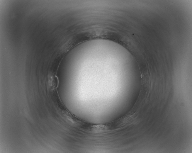 X0000062640087200601041108