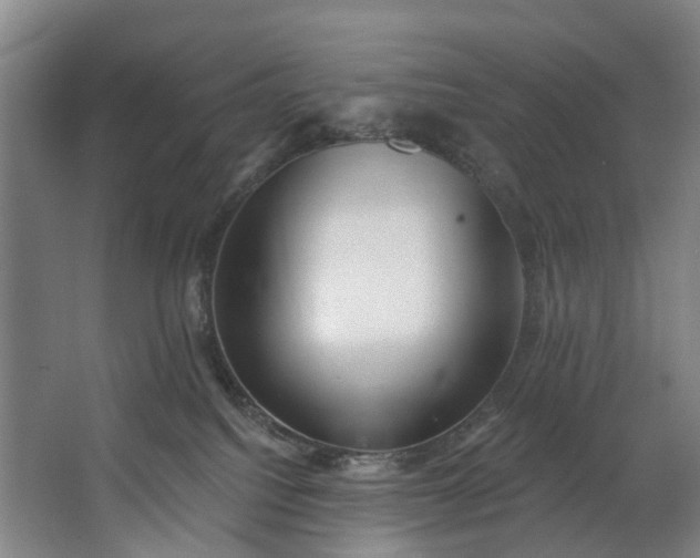 X0000062640088200601041108