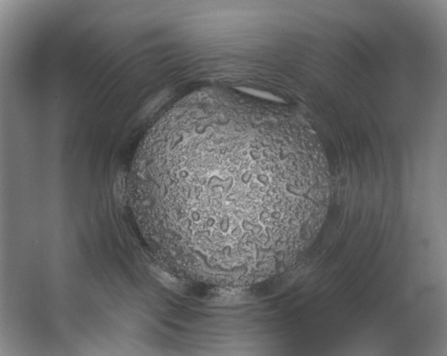 X0000062640093200601041108