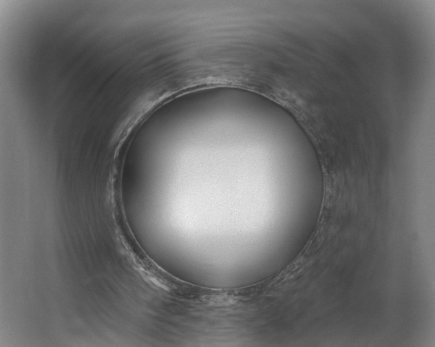 X0000062640098200601041107