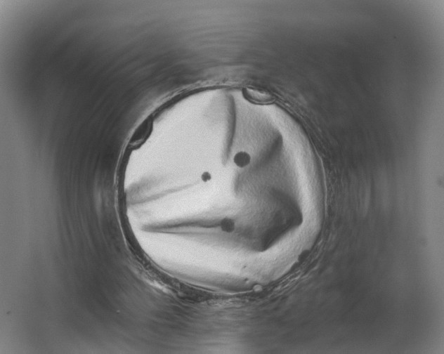 X0000062640100200601041107