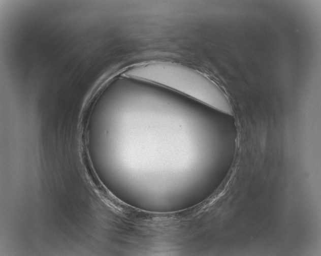 X0000062640101200601041107