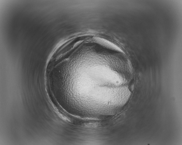 X0000062640102200601041107