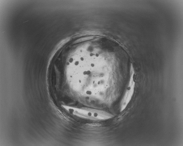 X0000062640104200601041107