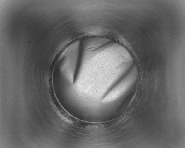 X0000062640106200601041107