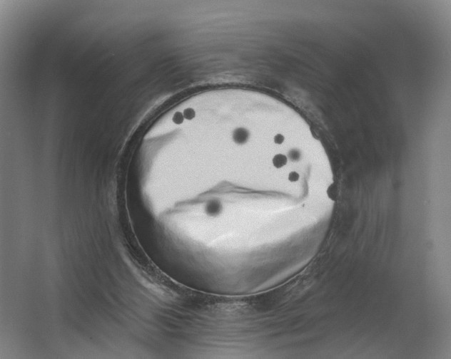 X0000062640108200601041107