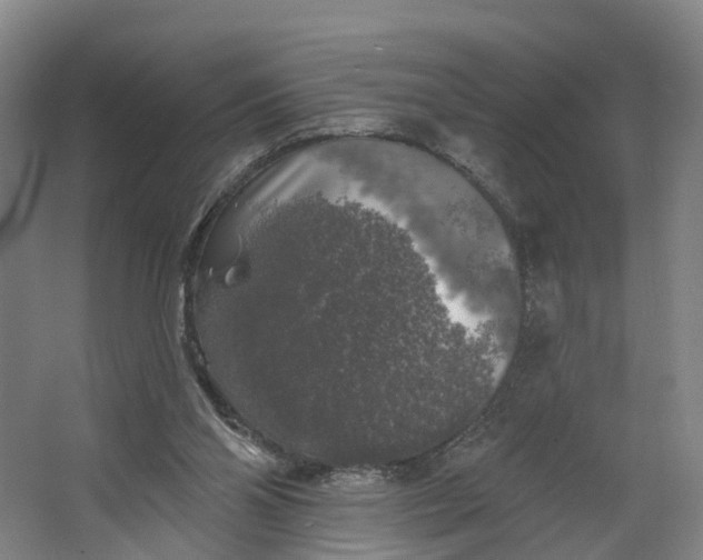 X0000062640110200601041107