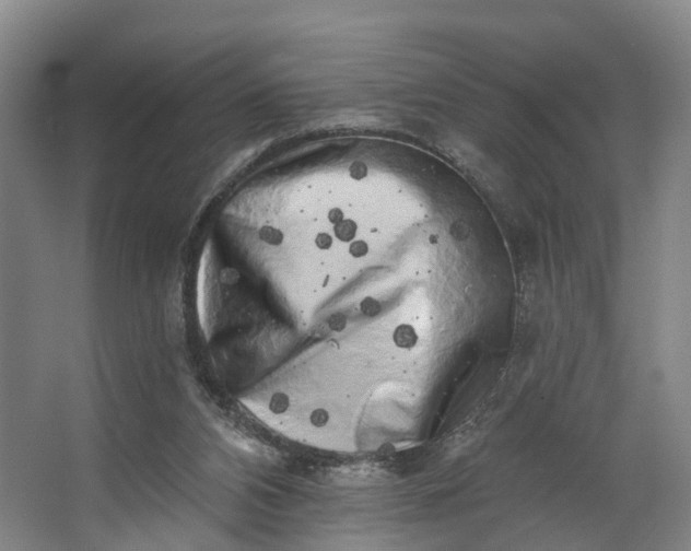 X0000062640112200601041107