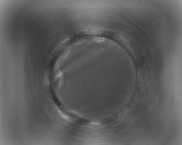 X0000062640114200601041107