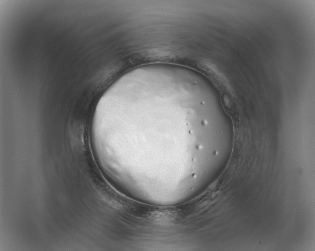 X0000062640115200601041107