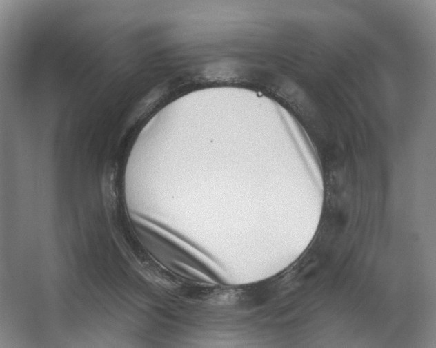 X0000062640116200601041107