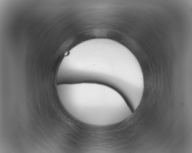 X0000062640120200601041107