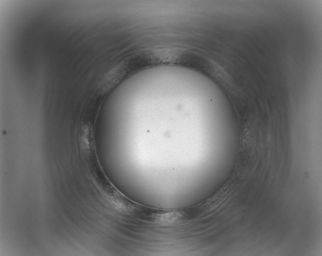 X0000062640122200601041107