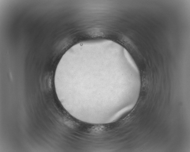 X0000062640124200601041107