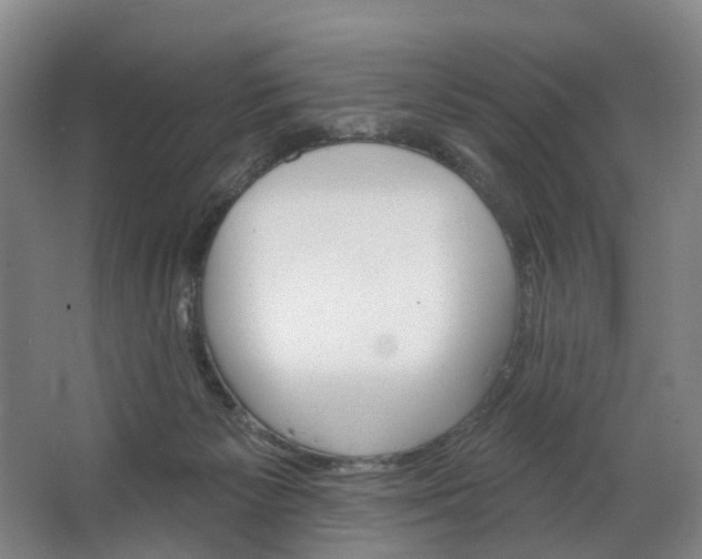 X0000062640125200601041107